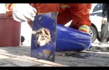 Chińscy strażacy ratują kota