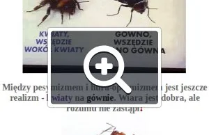 Wiara jest dobra, ale rozumu nie zastąpi❗️( ͡° ͜ʖ ͡°)