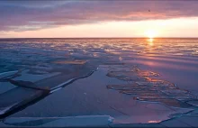 Naukowcy apelują o moratorium na przemysłowe rybołówstwo w topniejącej Arktyce