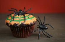 How To Make a Moving Halloween Cupcake