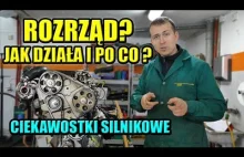 ROZRZĄD - CO TO JEST? JAK DZIAŁA? CZY WYMIENIAĆ? CIEKAWOSTKI...