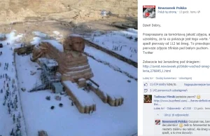 Wpadka Newsweek Polska - pierwsze zdjęcie Sfinksa pod białym puchem