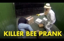 Żart z pszczołami