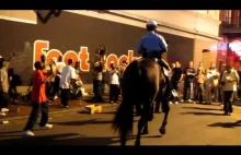 Tańczący koń w Nowym Orleanie
