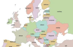 Kapitalny słownik angielskiego na większość języków Europy.