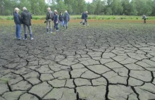 Niemcy i Polacy ratują torfowiska nad Bałtykiem