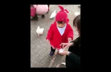 dziewczynka vs gołąb