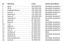 Ile płacili Gadu-Gadu oraz Nasza-Klasa za swoje domeny?
