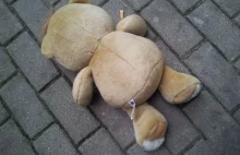 Szok w Kujawsko-pomorskiem. 14-latek zgwałcił 3-latkę...