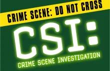 CSI PIOTRKÓW: Kto opluwa biuro posła Prawa i Sprawiedliwości?