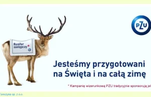 Głupi po szkodzie