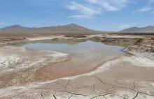 Pierwsze od stuleci opady na pustyni Atakama zniszczyły mikrobiologiczne życie