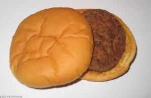 Tak wygląda cheeseburger z McDonald's po... 14 latach