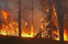 Minęło 25 lat od jednego z największych pożarów lasów w historii Polski