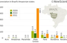 Wykres pokazuje skalę wycinki lasów deszczowych w Brazylii
