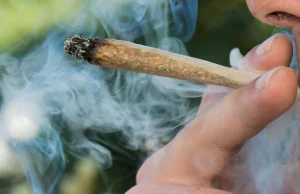 Nevada zakazuje odmowy zatrudnienia z powodu palenia marihuany