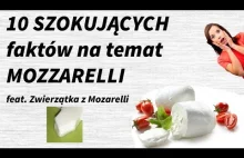 10 SZOKUJĄCYCH faktów na temat MOZZARELLI | feat. Zwierzątka z Mozarelli