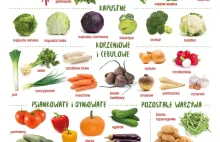Świeże warzywa i owoce sezonowe dostępne we wrześniu. Infografika do pobrania
