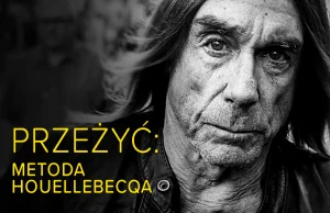 Przeżyć: metoda Houellebecqa