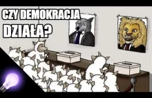 Czy demokracja (nie) działa?