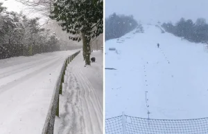 Zamknęli ośrodek narciarski z powodu .. śniegu