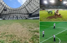 UEFA odpowiedzialna ze złe murawy w Lille i Marsylii na Euro?