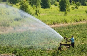 Upały odbijają się na gospodarce. Jedni w depresji, inni się cieszą