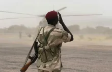 Prezydent Nigerii do wojskowych: macie trzy miesiące na zniszczenie Boko Haram!