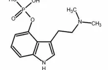 Psylocybina – halucynogen, który sprawia, że jesteśmy lepsi