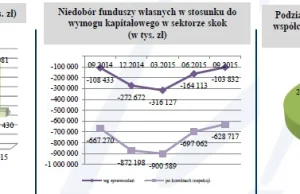 Już osiem SKOK-ów poszło do kasacji. Kasy straciły 400.000 ...