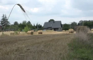 Radny i działka, którą uprawia tylko w nocy. "Jest moja, zasiedziałem ją"