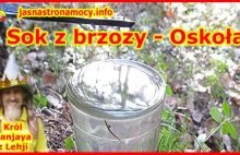 Sok z brzozy - Oskoła