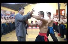 Real Kungfu Master Fighting Demonstration