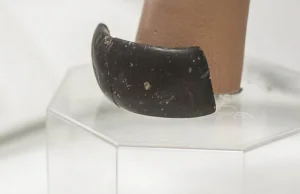 Archeolodzy odnaleźli najstarszą bransoletkę