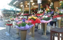 Awantura o kolory wazonów na placu Solnym
