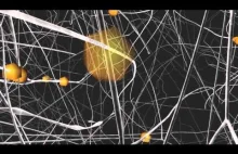 [EN][video]Blue Brain Project: Udało się przewidzieć gdzie powstaną synapsy