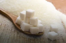 Polska importuje cukier z… Mozambiku