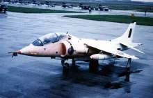 Historia różowego Harriera, czyli jak błotniak bzyknął bociana