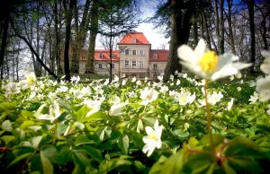 Slow Rajd Sieraków 2015 r.