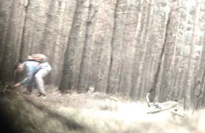 Chciał podpalić las. Miał pecha, bo nagrała go kamera (wideo)