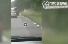 Pirat drogowy na DK22 wyprzedzał korek rowem - terenowym Mercedesem... |VIDEO|