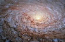 Hubble obserwuje Galaktykę Słonecznik (M63