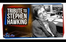 Najważniejsze osiągnięcia Hawkinga przekazane skrzeczącym głosem.