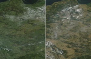 Skutki suszy w Polsce widziane z kosmosu.