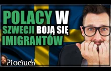 WYWIAD: POLACY W SZWECJI BOJĄ SIĘ IMIGRANTÓW I POPRAWNOŚCI POLITYCZNEJ -...