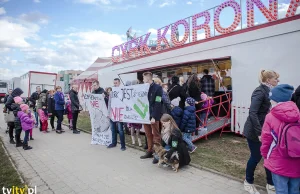 Protest przed „Cyrkiem Korona” wsparła również JULA