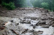 Osunęła się ziemia, na drogę zwaliły się konary - to efekty wieczornej burzy