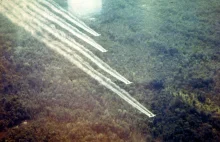 Agent Orange zbiera swoje żniwo. Po ponad 40 latach od zakończenia wojny,...