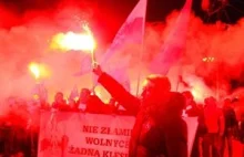 New York Times: Polska krajem stadionowego rasizmu