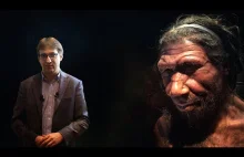 Neandertalczycy: kim byli, jak żyli, co po sobie pozostawili?